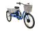 Электровелосипед трехколесный Horza Stels Trike 24-T2 350W 36V/9Ah